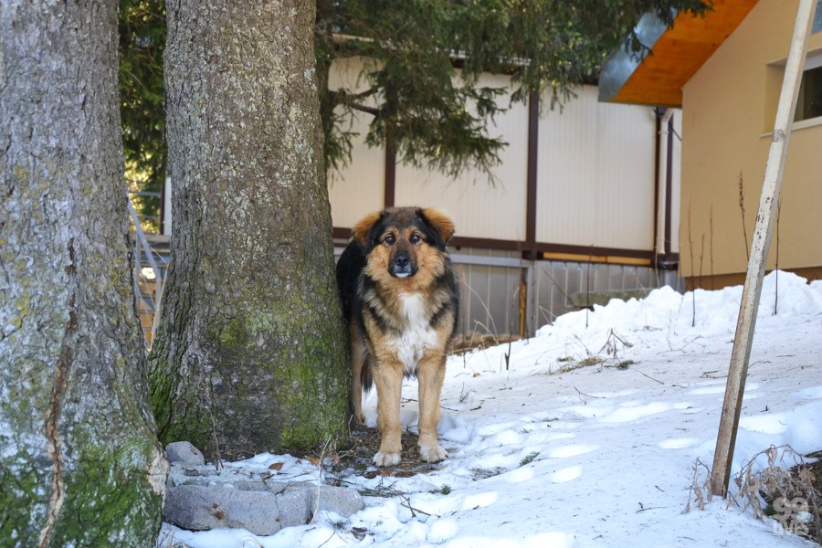 black-peak_bulgaria-9